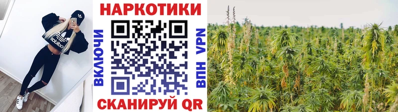 Какие есть наркотики Хасавюрт Alpha PVP Каннабис Амфетамин Кокаин