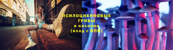 синтетический гашиш Ладушкин