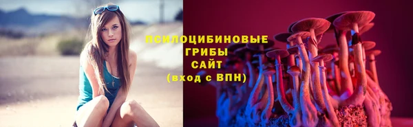 ГАЛЛЮЦИНОГЕННЫЕ ГРИБЫ Лабытнанги