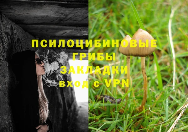 ГАЛЛЮЦИНОГЕННЫЕ ГРИБЫ Лабытнанги