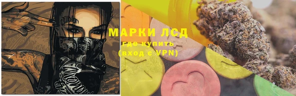 ГАЛЛЮЦИНОГЕННЫЕ ГРИБЫ Лабытнанги