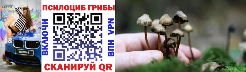 Псилоцибиновые грибы мицелий  что такое   Хасавюрт 