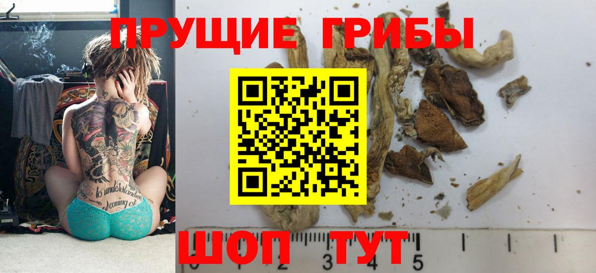 Галлюциногенные грибы Psilocybine cubensis  Вход с VPN  Хасавюрт  Галлюциногенные грибы мухоморы 